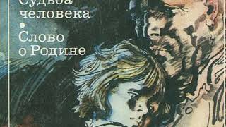 Ссылка на кракен тор браузер