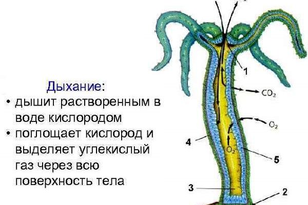 Kraken шоп что это