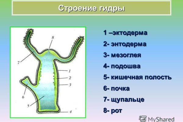 Кракен действующая ссылка